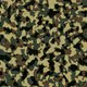 test_coll_example