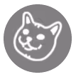 E1A5555afc9