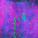 test collection 1234