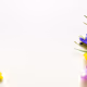 Test_collection_1234554321 - old