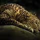 test - H9A0bNsBaw