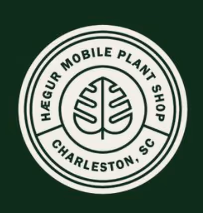 test - M42aB0c5gK - old