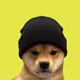 test RH