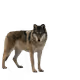 test rh