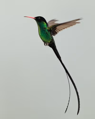 test - U1n3hj5hSh - old