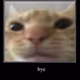 test - WSR3vVqf0w