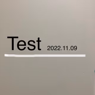 test20221109