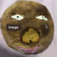 test245