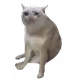 TEST FAILED