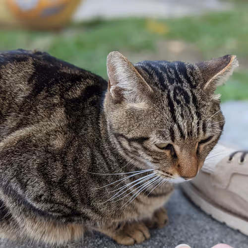 testinggggggggggggg - old