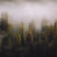 testtesttesttesttesttesttesttest - old