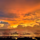 TestPOL
