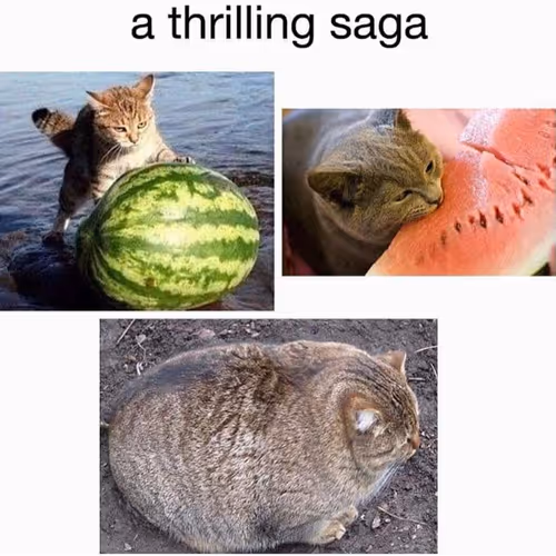 testwatermelon