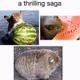testwatermelon