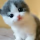 TESTXX