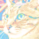 Text Cats