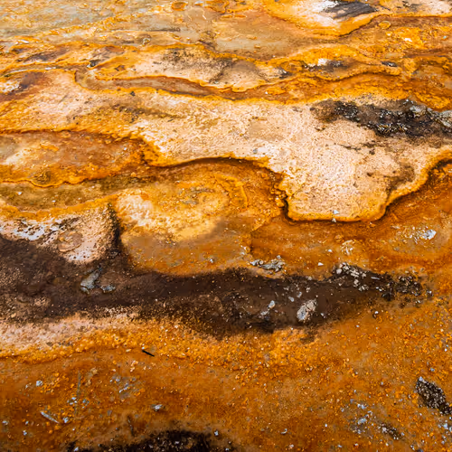 Textures of Yellowstone - old