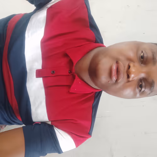 Tfame NFT collections