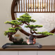 The Faith of Buddhism