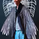 THE_WINGED