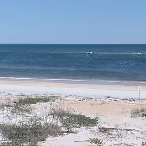 Ocean Front Property of the MetaVerse