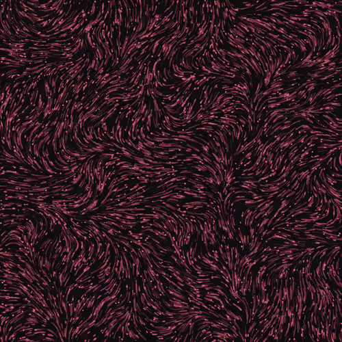 The Algorithmic Abstracts - old