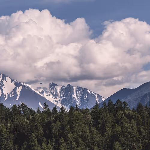 The Altai Republic - old