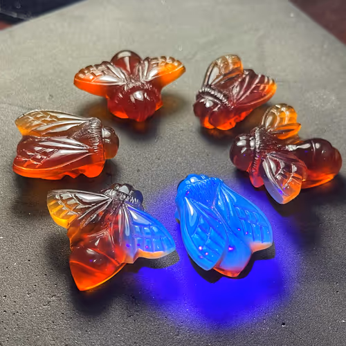 The Amber Time Machine