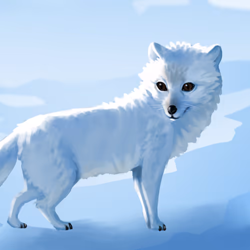 The Animal Kingdom Paintings