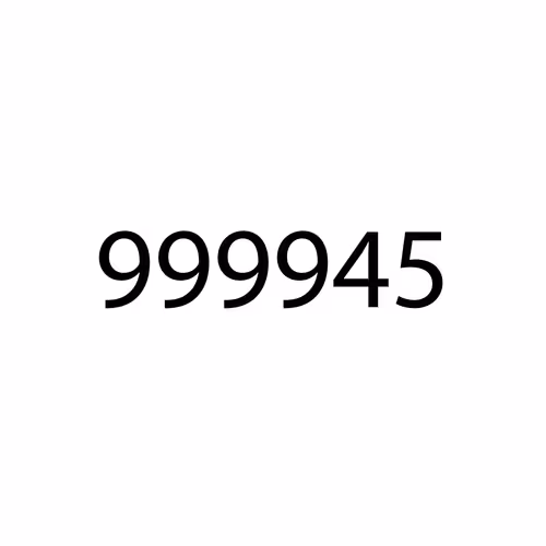 The Art in 999945