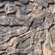 The Awakening of Consiousness - old