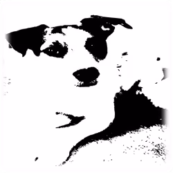 The_B&W_Doggys - old