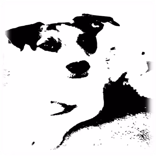 The_B&W_Doggys - old