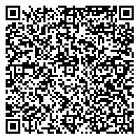 The Barcode - Scan History - old