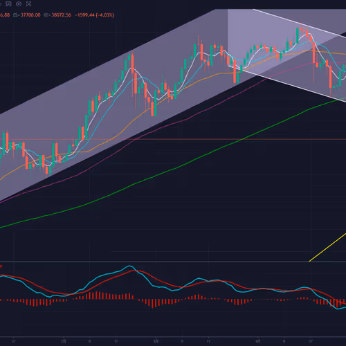 The bear is coming