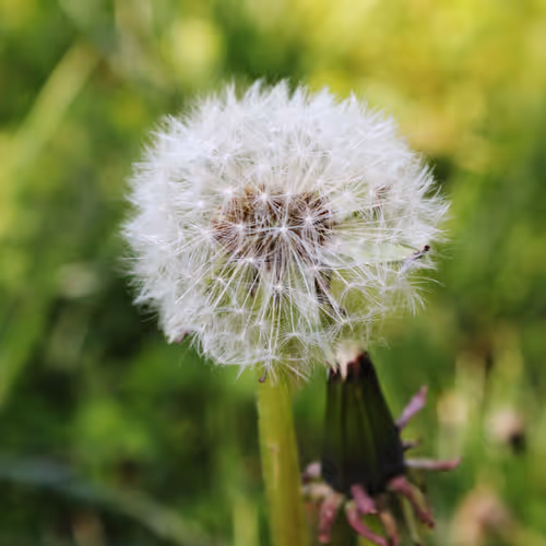 The Beautiful Nature in Italy