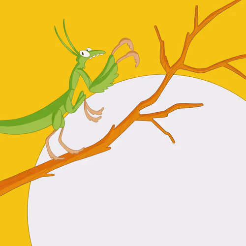 The beauty in the little things - old