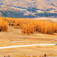 the beauty in XinJiang