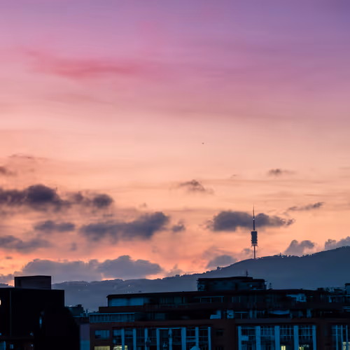 The Beauty of Life #1 - old