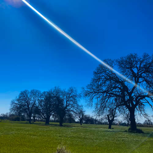 the beauty of spring.