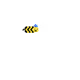 Bee that provides a month of nfts