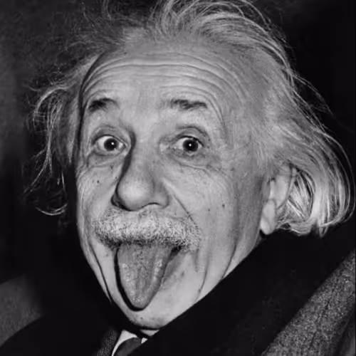 THE BEST QUOTES