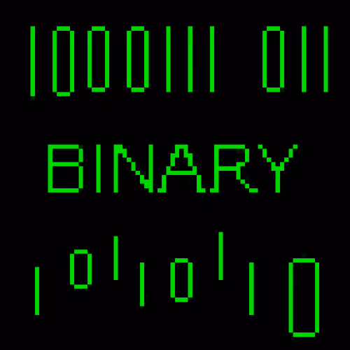 The Binary Matrix