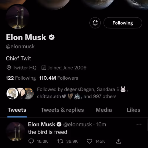the bird is freed