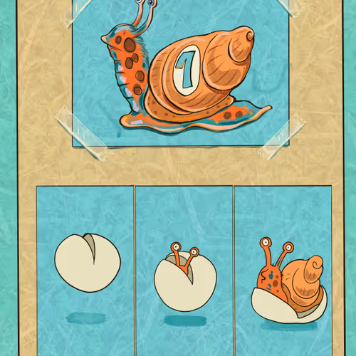 the birth of a champion