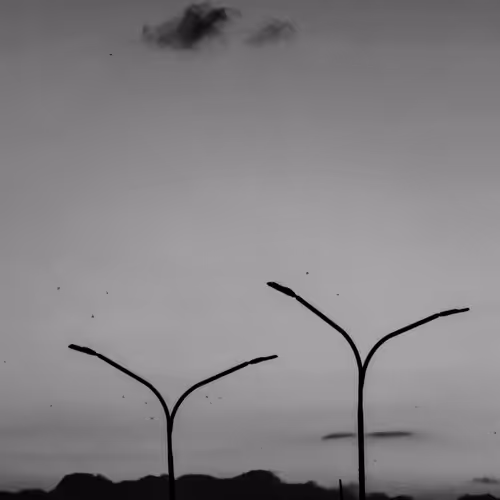 the black and white V4