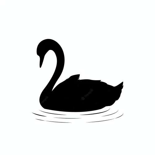 The Black Swan 1970