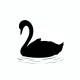 The Black Swan 1970