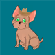 The Bored Dog Club Official - old V2