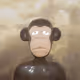 The Bored Hodlr - old